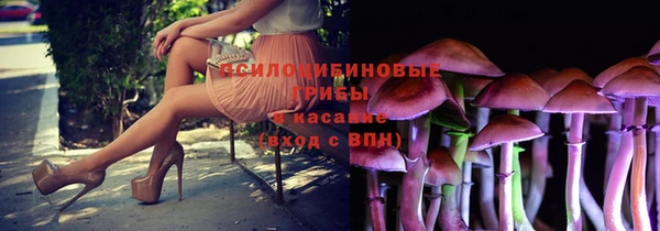 спиды Белоозёрский
