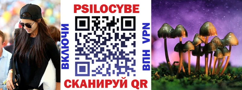 наркота Бузулук Псилоцибиновые грибы Psilocybine cubensis