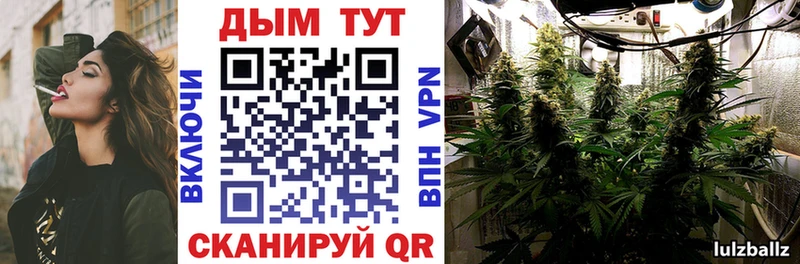 Конопля индика  хочу наркоту  Бузулук 